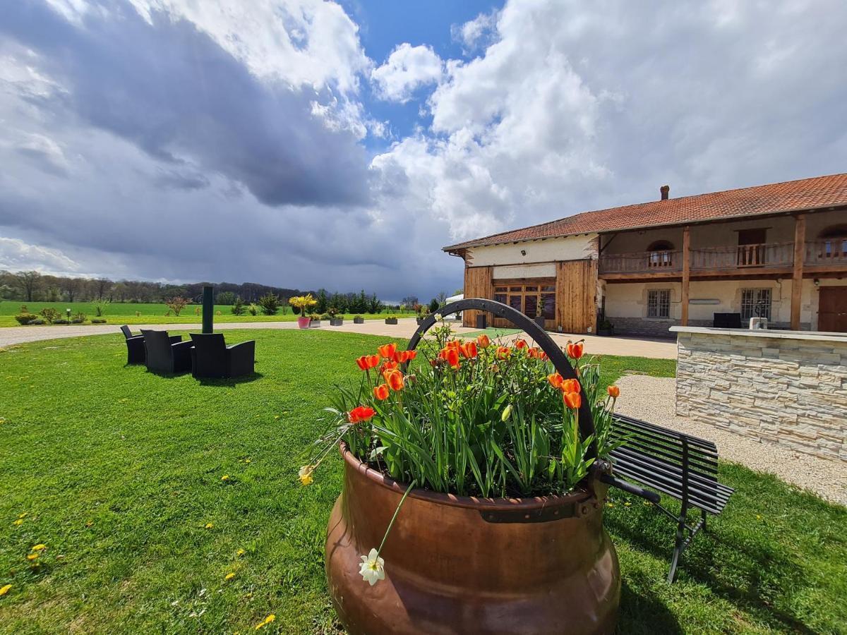 Domaine Du Cuiset -Gite Des Combles Villa Saint-André-sur-Vieux-Jonc Exteriör bild