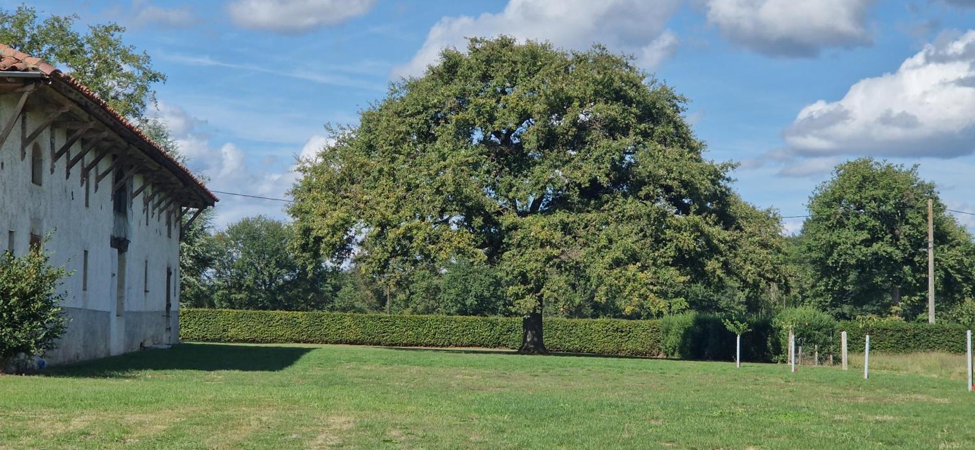 Domaine Du Cuiset -Gite Des Combles Villa Saint-André-sur-Vieux-Jonc Exteriör bild